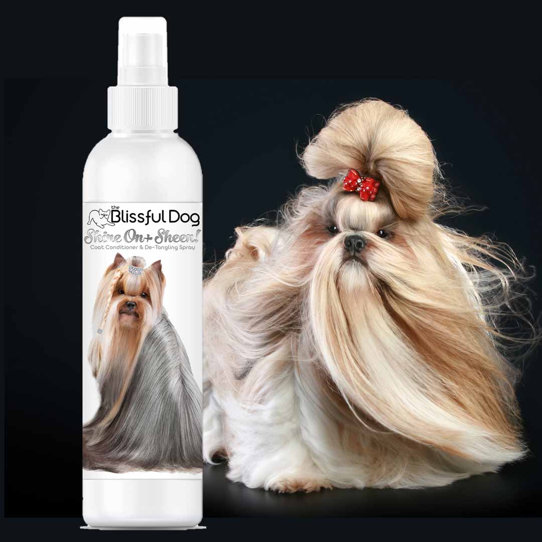 dog show spray